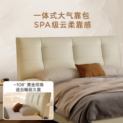 顾家家居 双重撑腰专利护脊 床垫套装 真皮床  软硬适中 1.5X2.0m 27-35c