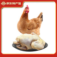 筱诺 土鸡三黄鸡约750g/只整只装 4只装