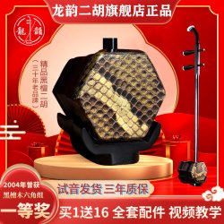 龙韵 黑檀二胡乐器成人初学者入门专业二胡厂家直销正品胡琴