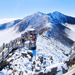 太白山森林公园一日游含门票