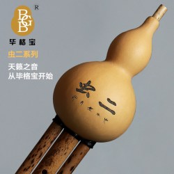 毕格宝 云南毕格宝葫芦丝虫二系列乐器gFd调C调降B调专业演奏型真葫芦