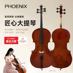 菲尼克斯 PHOENIX 菲妮克斯 MCP101H 实木大提琴 (4/4)
