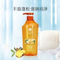 蜂花 无硅油生姜健发洗发水 强韧发丝 清爽控油 植物精华 750ml