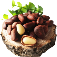 温即23新货东北大兴安岭水煮松子盐水煮松子雪松子咸味五香500克