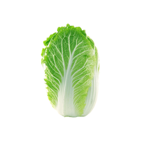 种菜记山东胶州大白菜种子胶蔬秋季王白菜种籽冬储早熟农家蔬菜孑 胶州大白菜种子10克