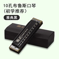 青歌 GG10国光24孔口琴复音C调雅典黑