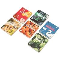 beiens 贝恩施 ZJ51 早教认知卡