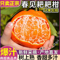 粤迎 四川春见耙耙柑 4.5斤 脆甜多汁