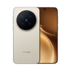 vivo X300 Pro 5G手机 12GB+256GB 旷野棕
