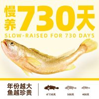 【烈儿超值年货节】一米八深远海大黄鱼好吃年年礼盒新鲜冰冻