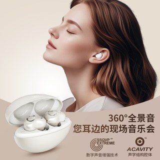 SENGIRNY圣吉尼 ARV33 主动降噪 真无线蓝牙耳机