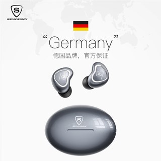 SENGIRNY圣吉尼 ARV33 主动降噪 真无线蓝牙耳机