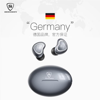 SENGIRNY圣吉尼 ARV33 主动降噪 真无线蓝牙耳机