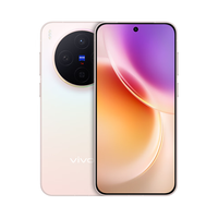 vivo X300 5G手机 12GB+256GB 幸运彩