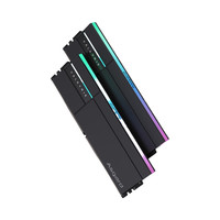 阿斯加特 女武神二代 台式机内存条 DDR5 RGB灯条 酷炫灯效 XMP超频 24GB×2 6000MHz C36
