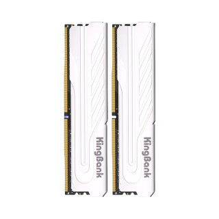 金百达 32GB(16GBX2)套装 DDR4 3200 台式机内存条 银爵 C16 适配黑神话悟空