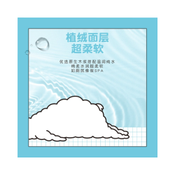舒洁 湿纸巾 卫生湿巾 家庭实惠装 可冲马桶 私处清洁 ×12