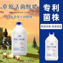 兰格格 草原活菌酸奶 1kg 瓶装