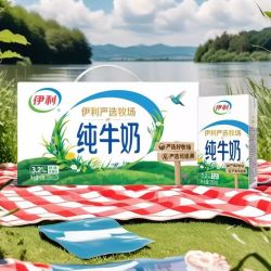 伊利 牛奶系列 营养早餐 优质乳蛋白  家庭囤货 严选纯牛奶250ml*24盒*2提 6月底产