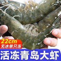 大虾鲜活特大号基围虾青岛海鲜生鲜冻虾水产王牌速冻冷冻新鲜白虾 10-12cm 1750g