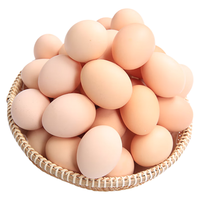 白荡里高品质土鸡蛋虫草蛋鲜蛋 营养现捡现发 土鸡蛋10枚