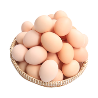 白荡里高品质土鸡蛋虫草蛋鲜蛋  营养现捡现发 土鸡蛋20枚