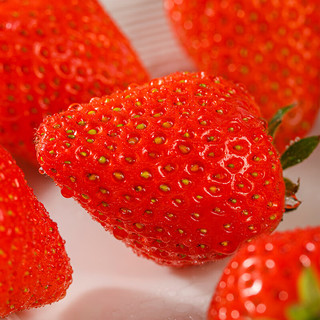  京地达 源头直发 冰糖香野草莓