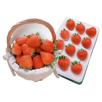 京地达山东冰糖香野草莓 1斤礼盒 单果15g+非丹东红颜草莓水果源头直发