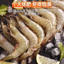 渔游记 大虾鲜活速冻特大厄瓜多尔白虾非鲜速冻盐冻厄瓜海虾海鲜水产