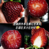 会小二新鲜真红美玲黑珍珠黑美人草莓新鲜高端品种黑草莓孕妇水果 3盒装