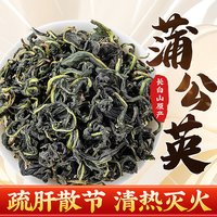 冷小知 长白山野生 蒲公英茶