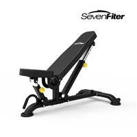 施菲特 施菲特哑铃凳 SF204 家用商用可调式训练凳 椅 力量训练  包安装