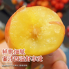 京鲜气 雷尼尔车厘子 2JJ级大果 2.5kg 礼盒装