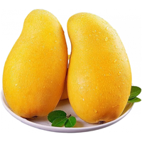 余悦海南金煌芒 【多地次日达】新鲜现摘水仙大芒果青皮甜心芒果整箱 带箱5斤 精选装/单果约250g+/净4.5斤