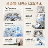 TCL12公斤滚筒一级DD直驱变频高洗净比智能投放带app全自动洗衣机