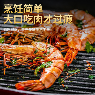 优牧冠越南特大号黑虎虾 草虾 冷冻大虾大号对虾夜宵烧烤食材 加大号 2.2斤(净重)  17-19cm