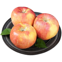 京觅 甘肃冰糖心苹果 净重4.5斤单果70mm+新鲜水果红富士苹果源头直发