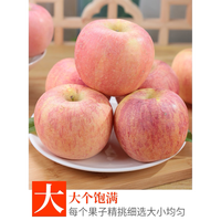 华北强 脆甜冰糖心 红富士苹果