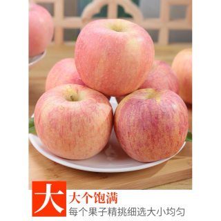 华北强 脆甜冰糖心 红富士苹果