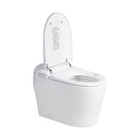 美标 美小智智能马桶一体式即热双重抗菌妇洗遥控坐厕