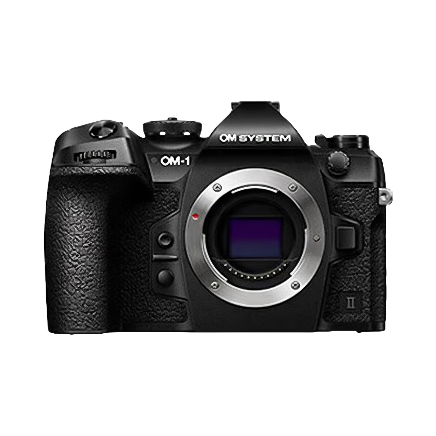 机身+100-400mm镜头