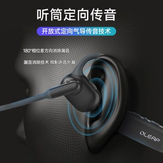 黄鹂智声 P200b Pro 主动降噪 黑色 无线蓝牙耳机