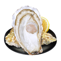 特大乳山生蚝鲜活牡蛎即食海蛎子海鲜水产一箱10斤XXXXL