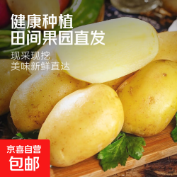 河南新鲜黄心土豆 中果 2斤