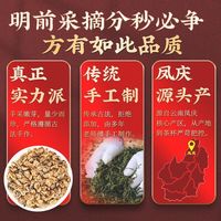 2025滇红茶新益号云南滇红金螺云南凤庆古树红茶一叶金螺滇红茶叶