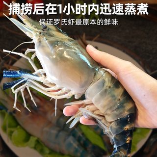 罗氏虾超大特大沼虾新鲜熟冻大头鲜虾巨型基围虾超大海鲜水产 16-17cm 1000g