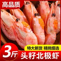 北极甜虾头籽北极虾超大冰虾海鲜水产带籽高大虾鲜活速冻刺身即食 6-8cm 500g