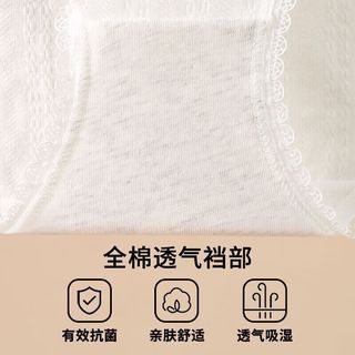 YOUR SUN/宜而爽 婴儿棉纯棉内裤 女 5A抗菌 中腰全棉裆 5条 XL