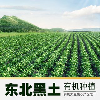 豆本豆 有机纯豆奶 无蔗糖 250ml*12盒 植物蛋白饮料
