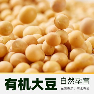 豆本豆 有机纯豆奶 无蔗糖 250ml*12盒 植物蛋白饮料